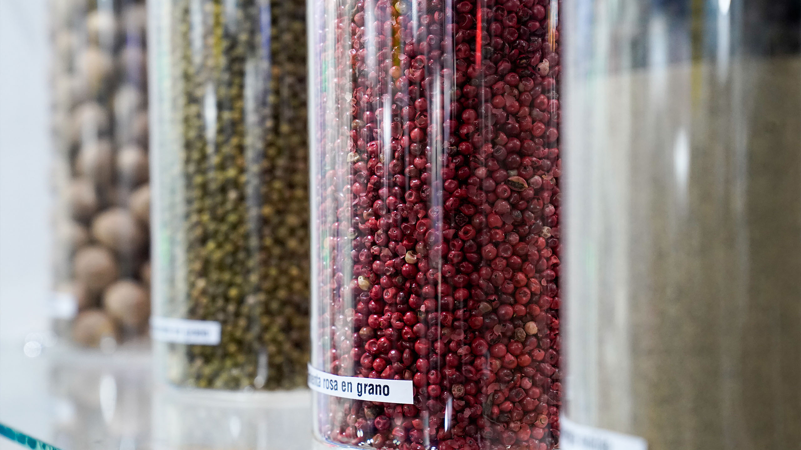 photo a product of Tecno Fidta