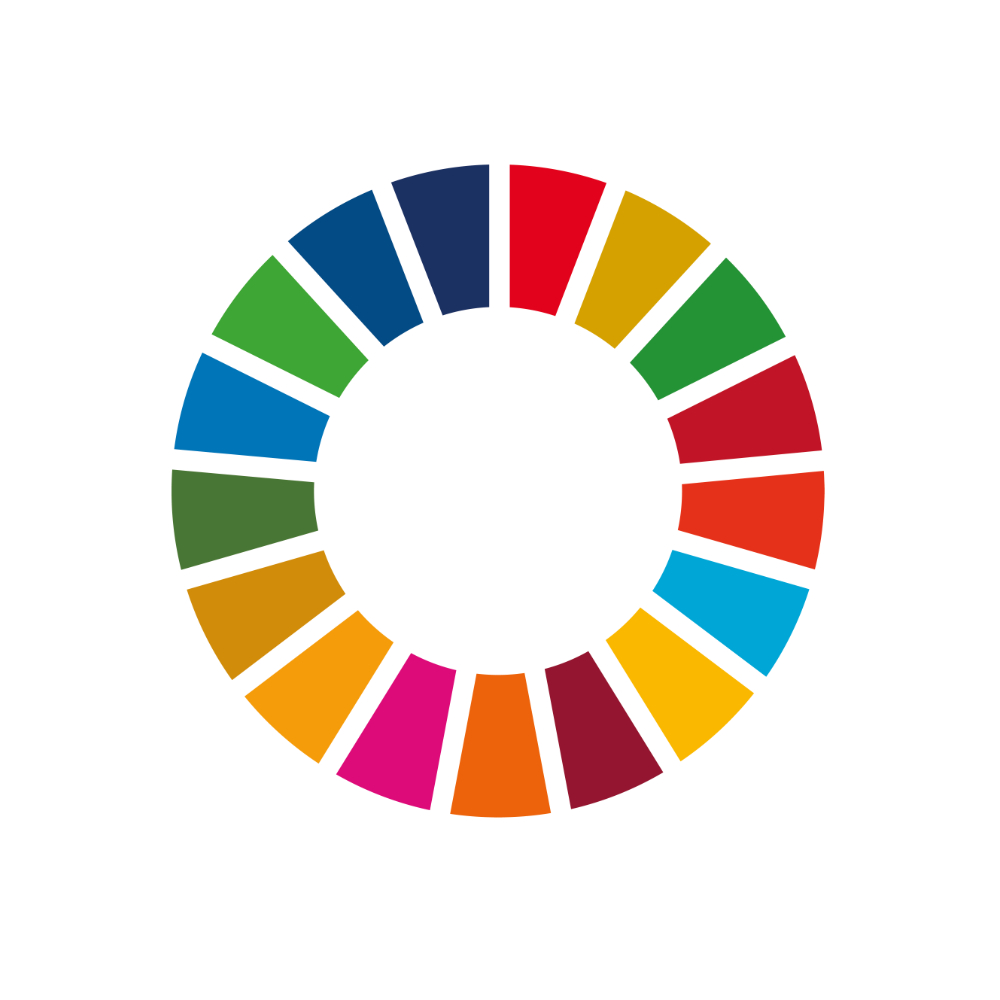 SDG Logo