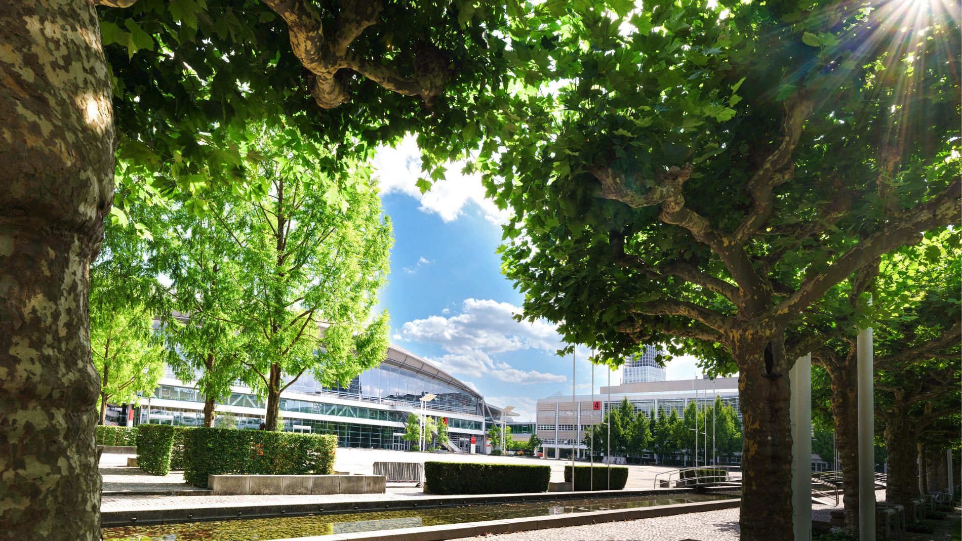 Messe Frankfurt Bäume